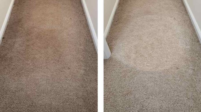 How to Clean Wool Carpet Without Damaging the Fibers