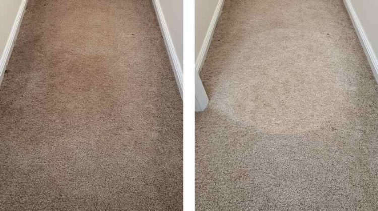 How to Clean Wool Carpet Without Damaging the Fibers