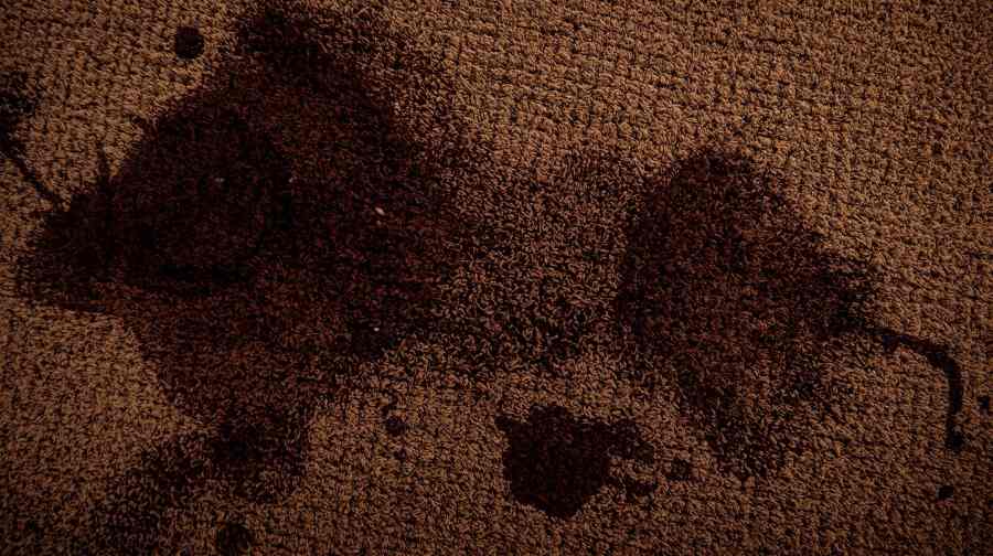 Deep Cleaning Methods for Nylon Carpet