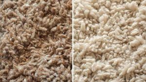 How to Clean Wool Carpet Without Damaging the Fibers