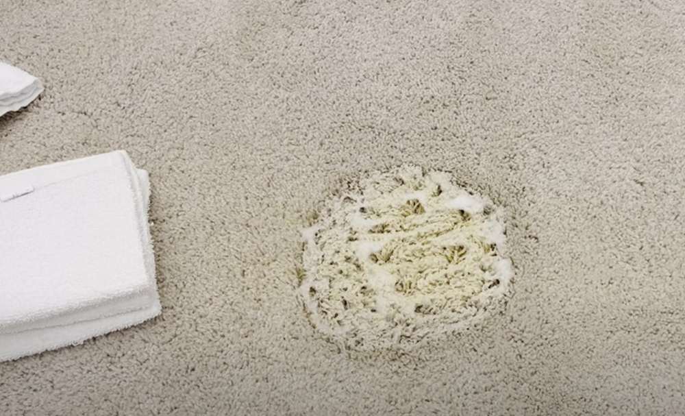 pet odor eliminator