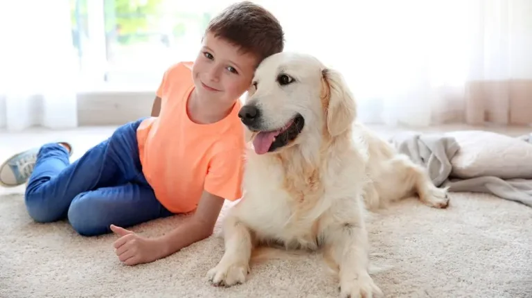 Best Type of Carpet for Dogs