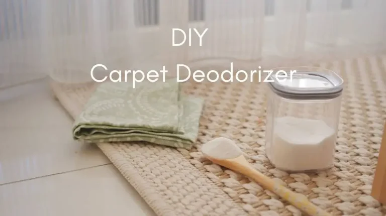 DIY Carpet Deodorizer