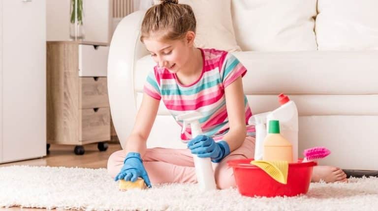 Homemade Carpet Cleaning Solution