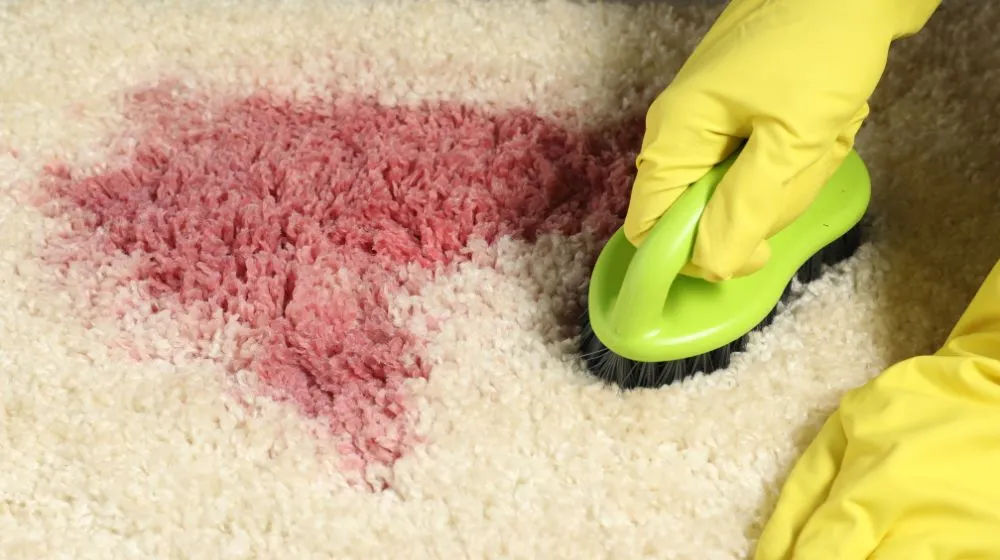 How-to-Clean-Fresh-Blood-Out-of-Carpet