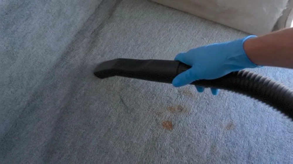 How to Get Rust Stains Out of Carpet
