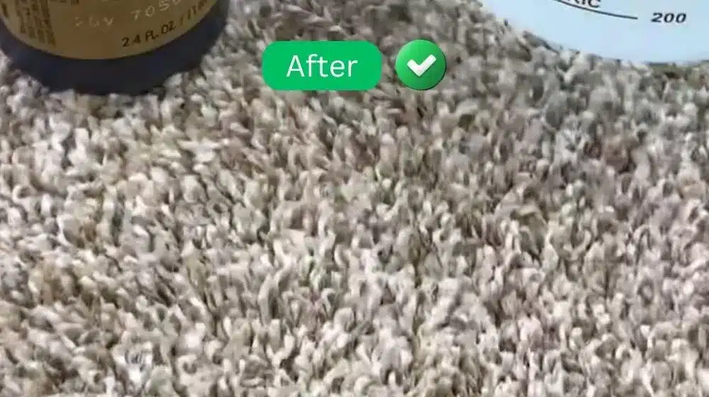 Rinse Clean and Dry Thoroughly