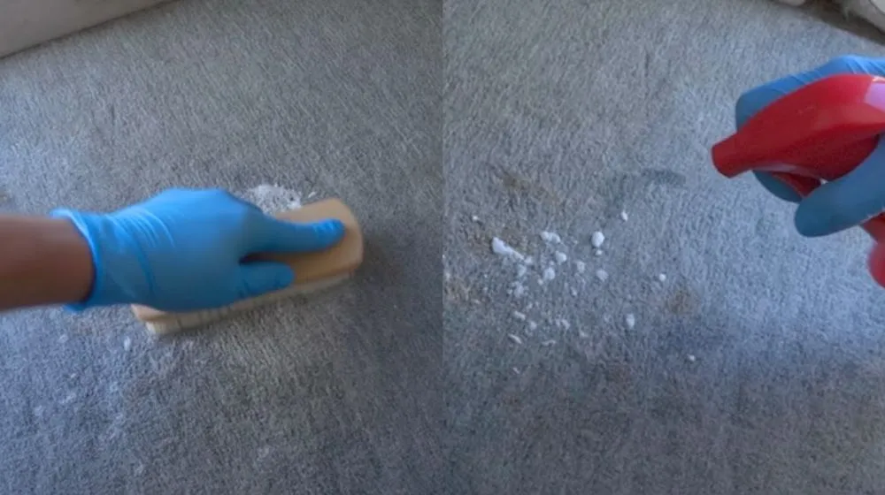 Scrub with Carpet Cleaner