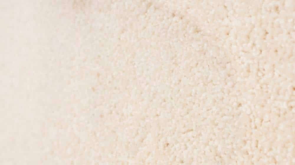 Remove Latex Paint out of carpet