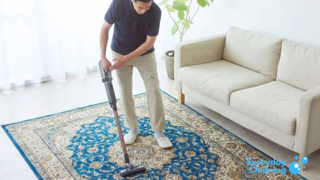Vacuum for Silk Rugs
