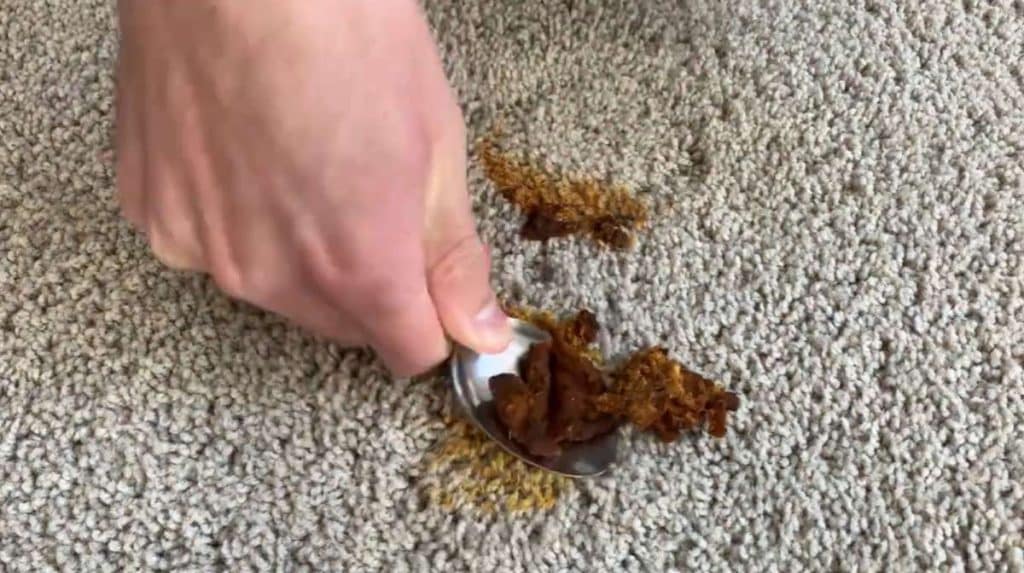 How to Get Curry Stains Out of Carpet After They've Dried