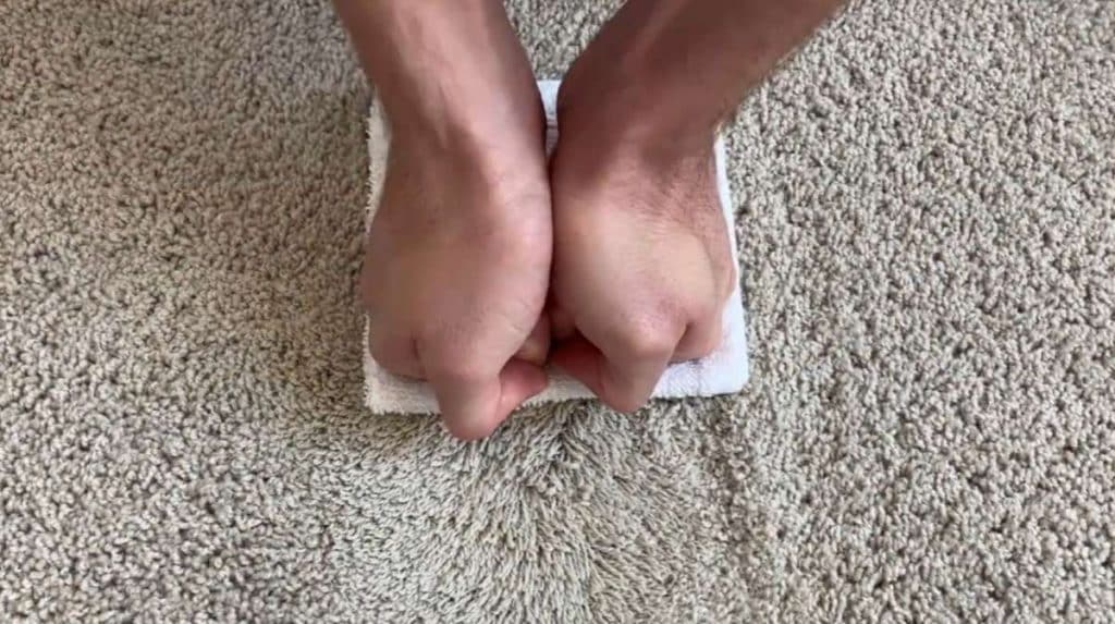 Remove Fresh Curry Stains from Carpet