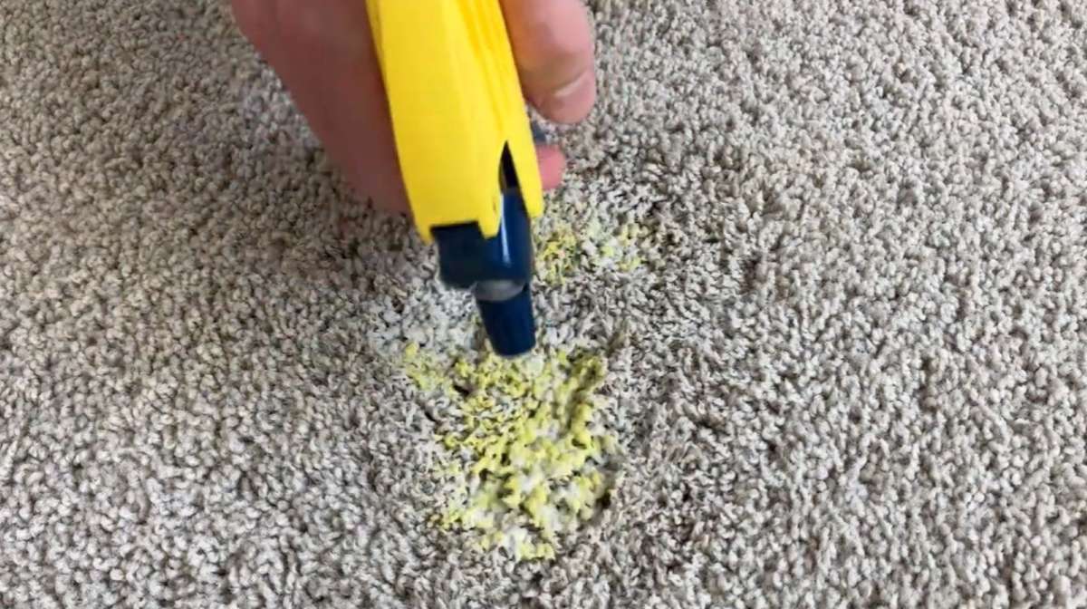 Use a Carpet Stain Remover