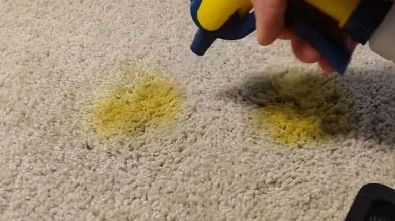 carpet cleaner for turmeric stains
