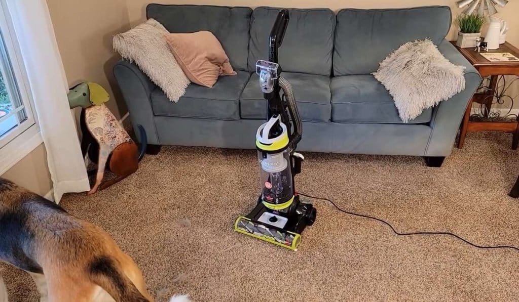 Best Budget carpet vacuum for pet hair