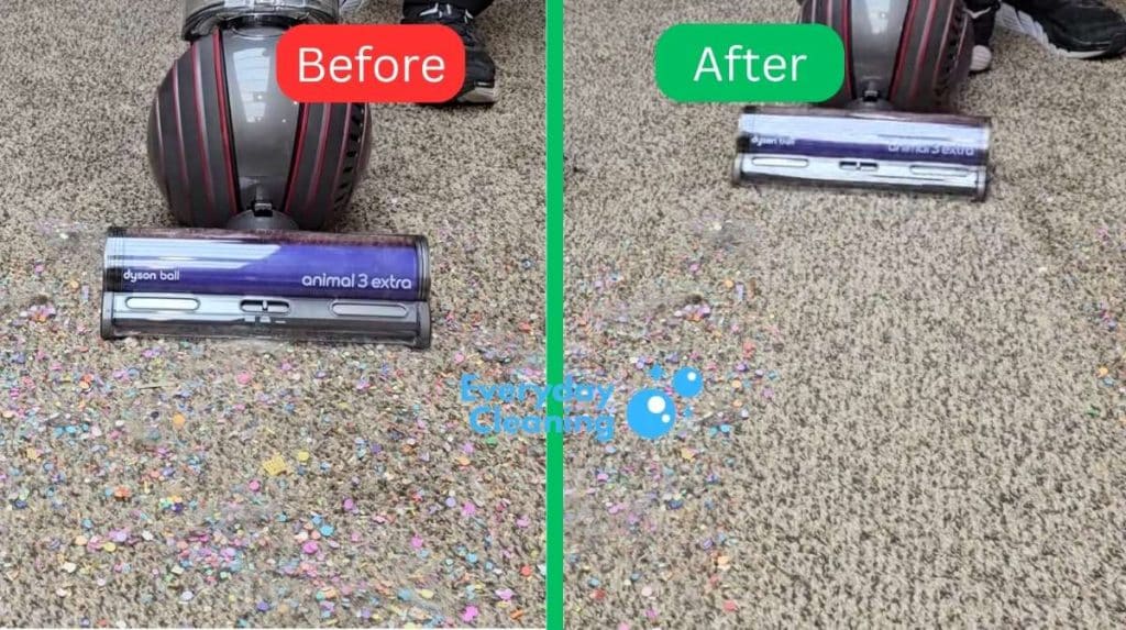 Best Value vacuum for pet hair