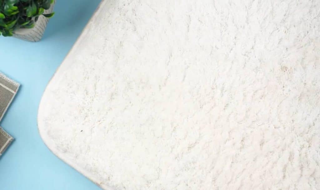 Use a Carpet Cleaner Machine to Dry the Area