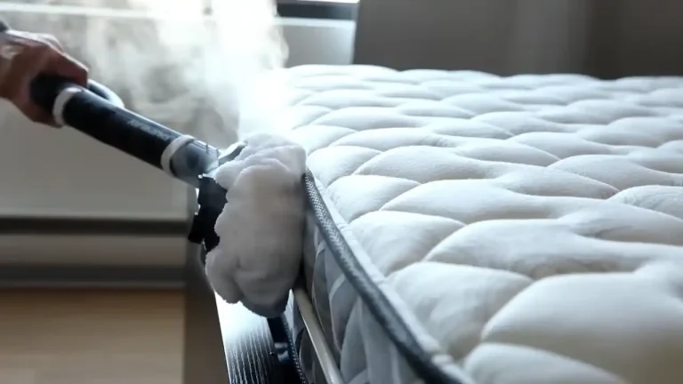 Best Bed Bug Steam Cleaner