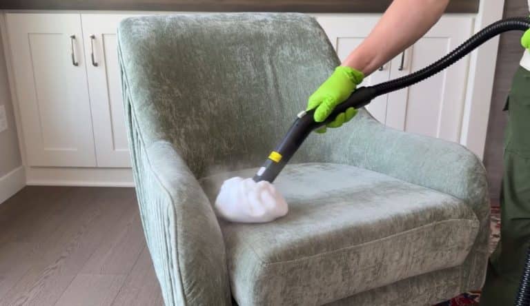 Best Overall Steam Cleaner for Allergies