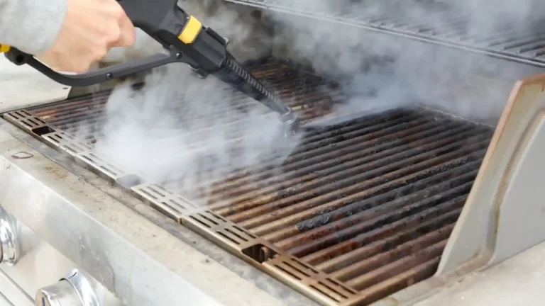 Best Steam Cleaner for BBQ Grill