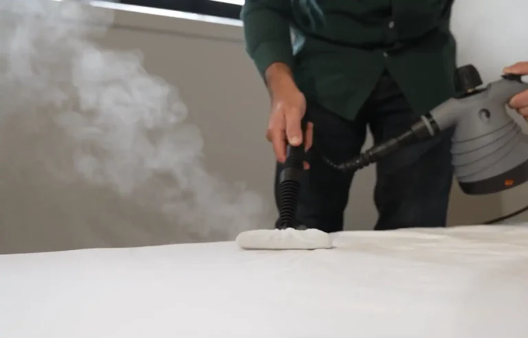 Best Steam Cleaner for Dust Mites