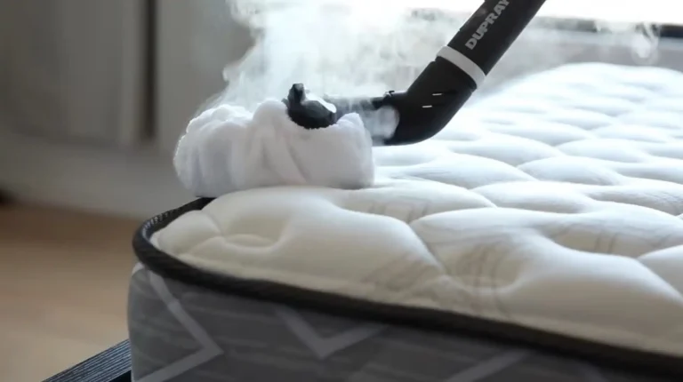 Best Steam Cleaner for Mattress