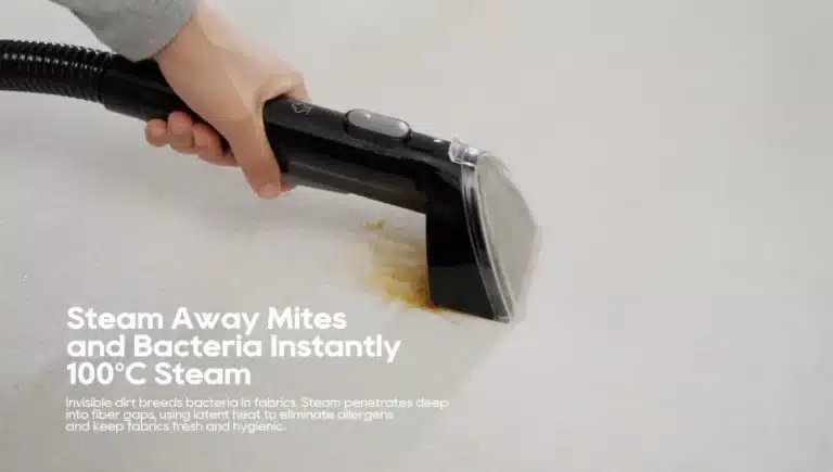 Best value Steam Cleaner for Couch