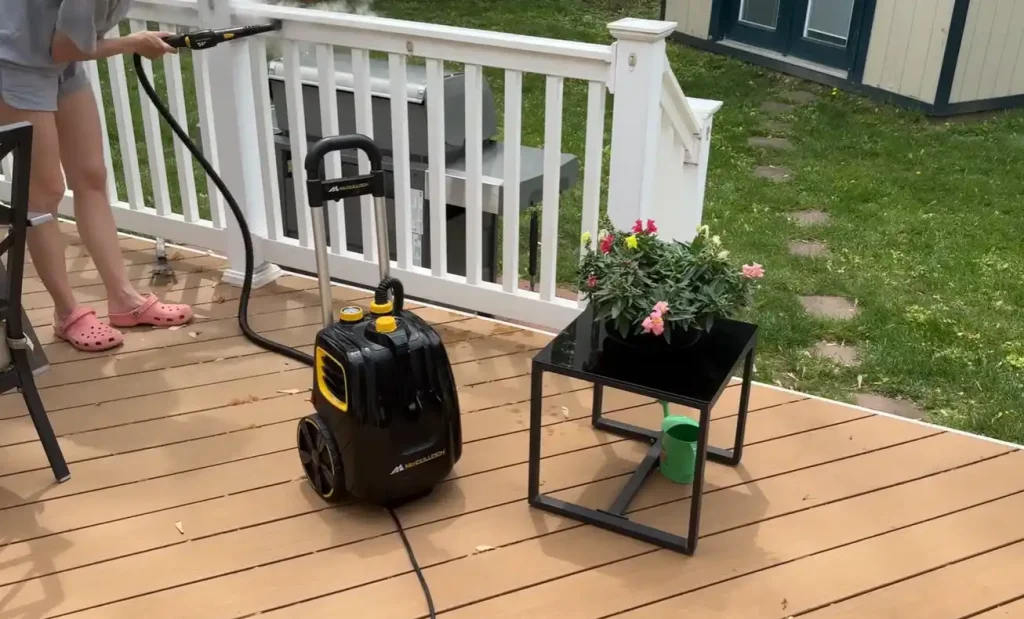 Best value Steam Cleaner for Walls