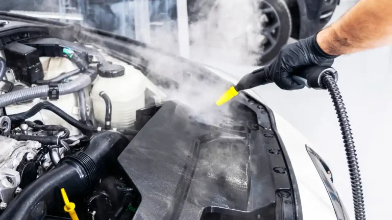 Steam Cleaner for Engine Bay