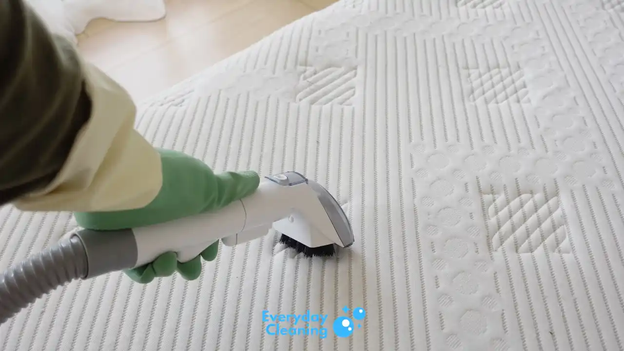 best multipurpose steam cleaner