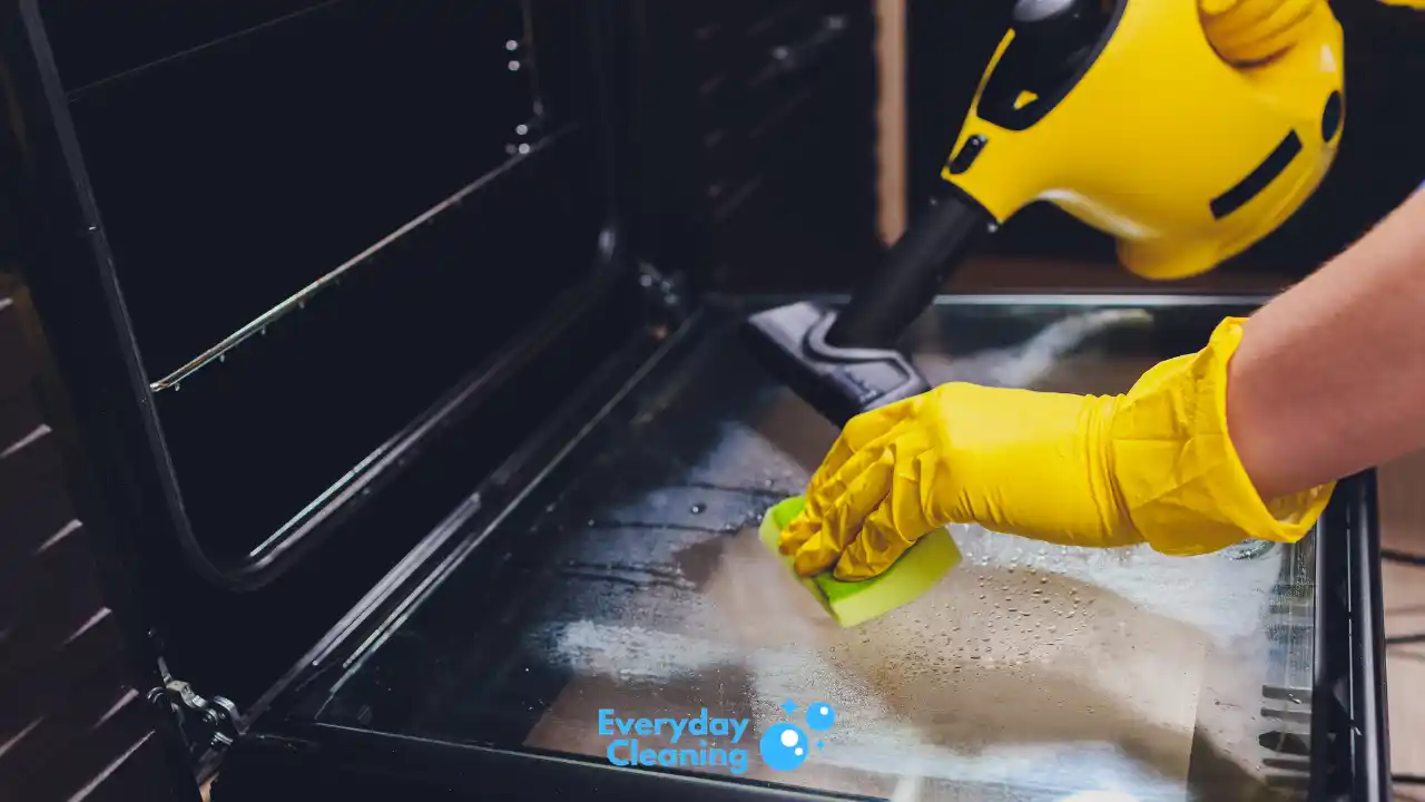 compact steam cleaner