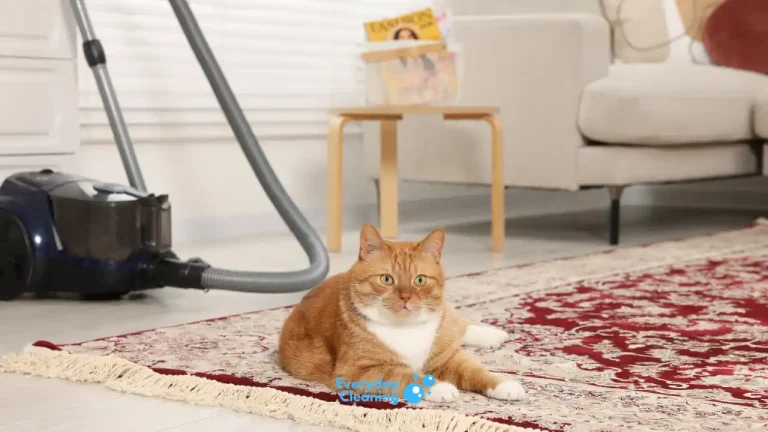 best vacuum for cat litter on carpet
