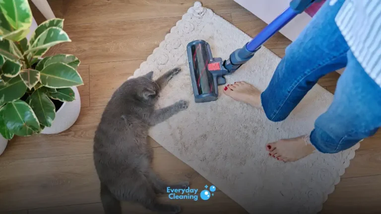 Best Cordless Vacuum Cleaners for Pet Hair