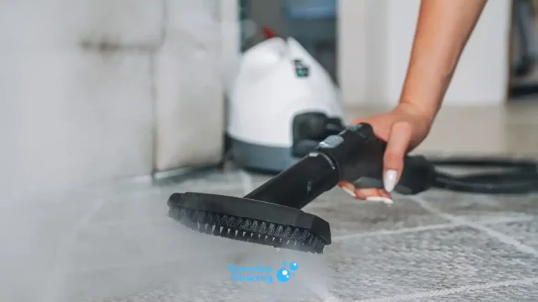 Best Household Steam Cleaner