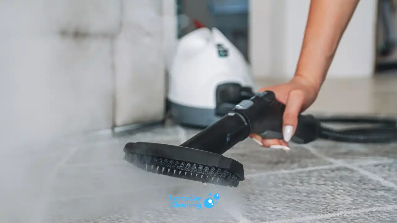 Best Household Steam Cleaner