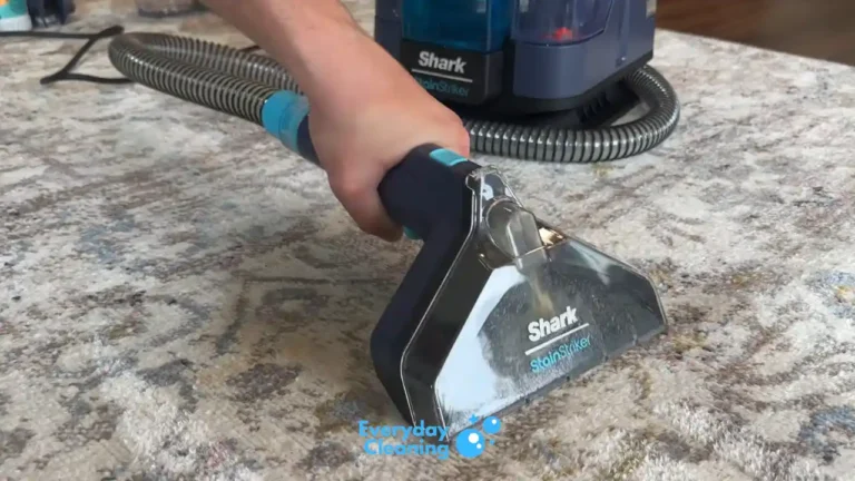 Best Portable Carpet Cleaner for High Traffic Areas