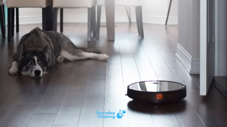 Best Robot Vacuum Mop Combo for Pet Hair