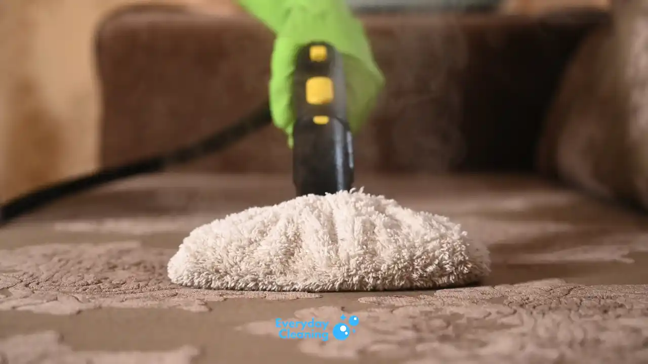 Best Steam Disinfectant Cleaner