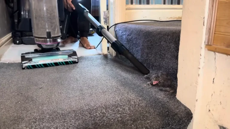 Best Upright Vacuums for Stairs