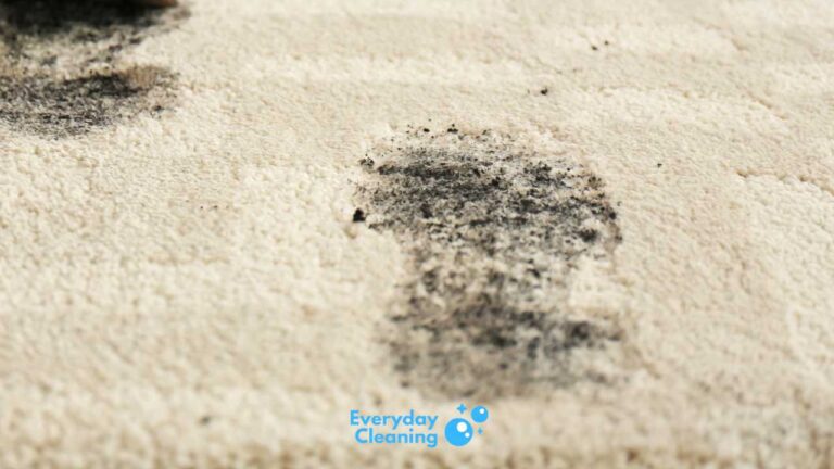 How to get ash out of carpet