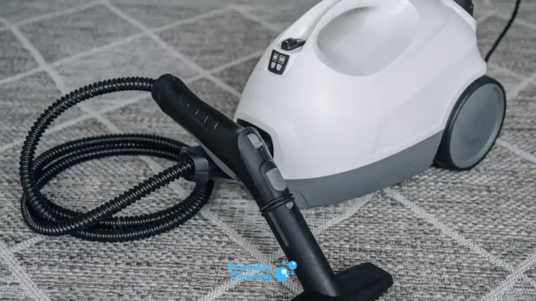 best canister steam cleaner