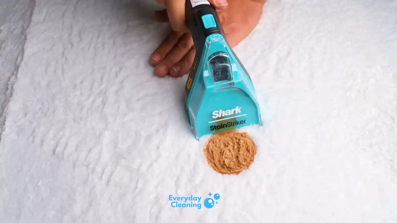 best carpet steam cleaner for pets