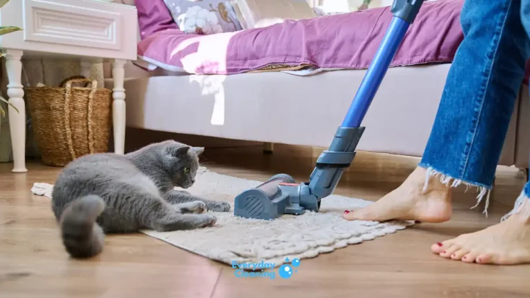 best cordless vacuum for cat litter