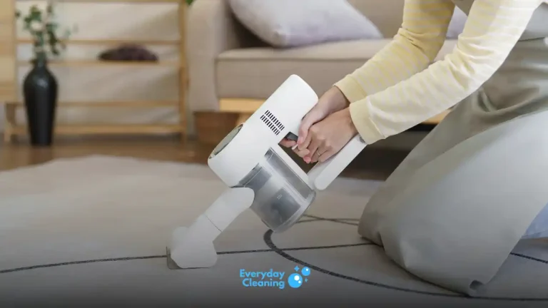 best handheld vacuum for cat litter
