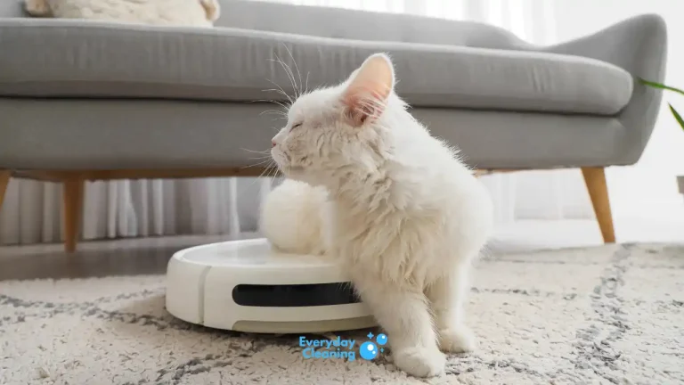 Best Robot Vacuum for Cat Litter