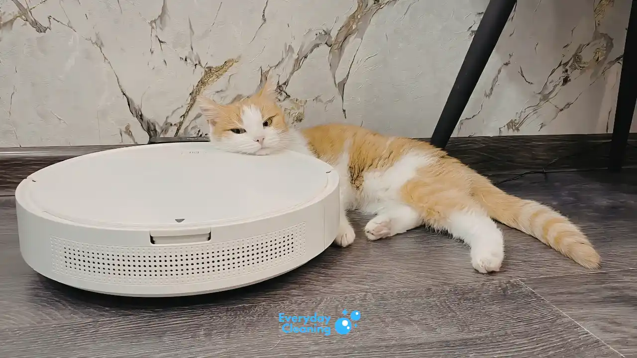 best robot vacuum for vinyl plank floors and pet hair