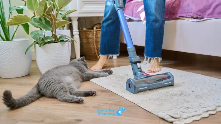 best vacuum cleaners for cat hair