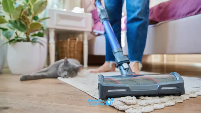 best vacuum for cat hair and litter