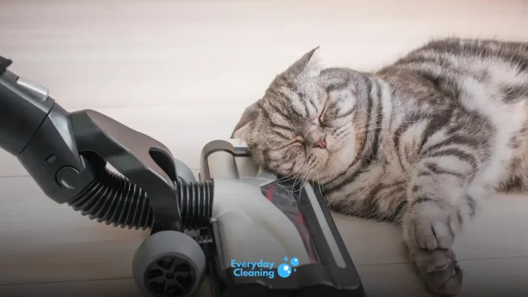 best vacuum for cat litter