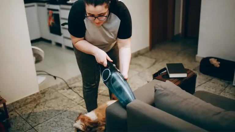 best vacuum for dog hair on couch